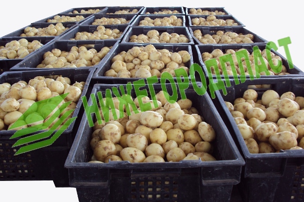 Ящик для картошки